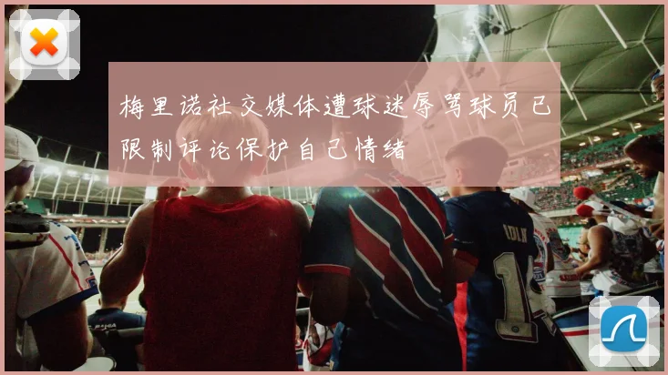 梅里诺社交媒体遭球迷辱骂球员已限制评论保护自己情绪